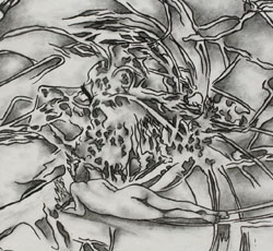 Image is not available